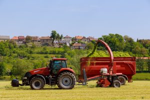 A tractor with forage harvesters removes cut grass from the field for silage filling a tractor trailer on a sunny day.